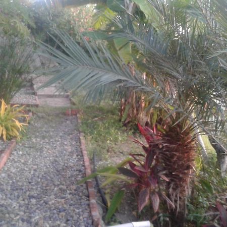 Maremonti Bed & Breakfast Puerto López Εξωτερικό φωτογραφία