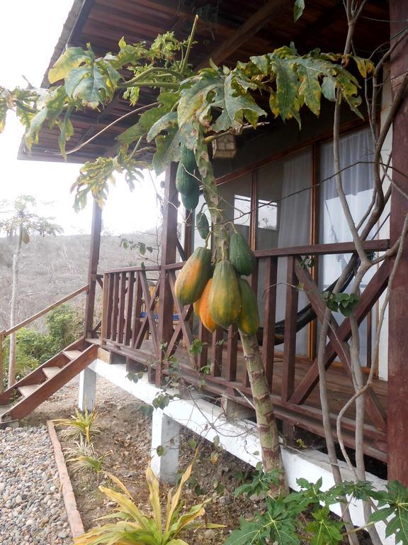 Maremonti Bed & Breakfast Puerto López Εξωτερικό φωτογραφία