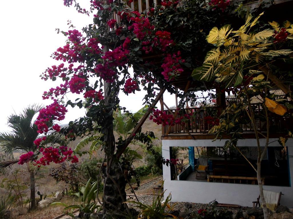 Maremonti Bed & Breakfast Puerto López Εξωτερικό φωτογραφία