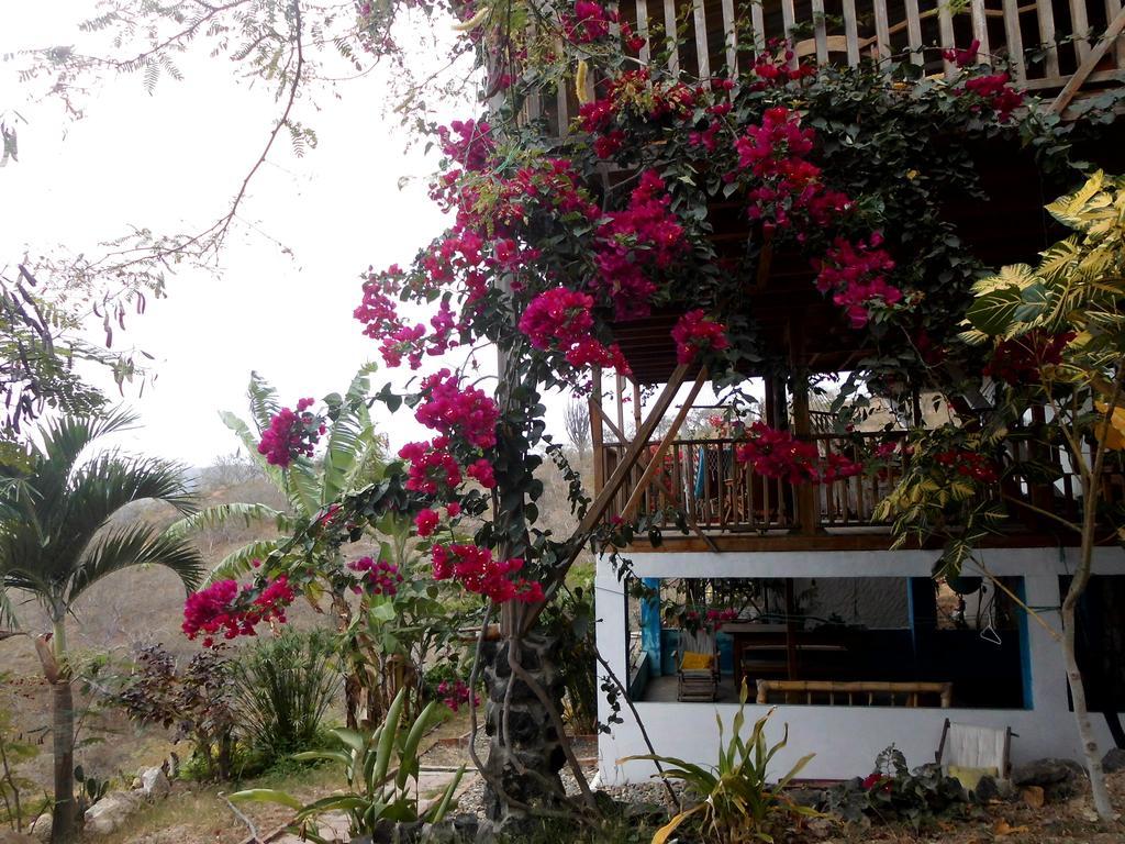 Maremonti Bed & Breakfast Puerto López Εξωτερικό φωτογραφία