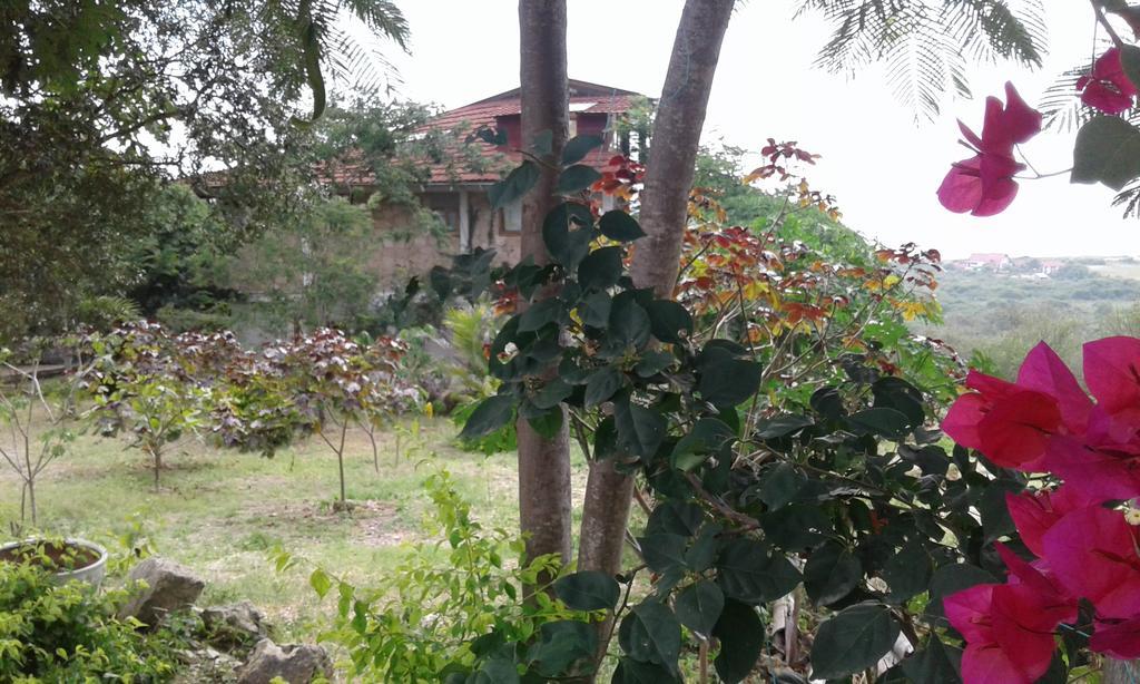 Maremonti Bed & Breakfast Puerto López Εξωτερικό φωτογραφία