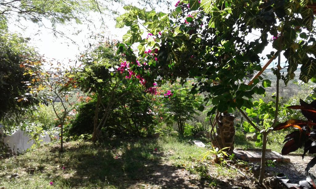 Maremonti Bed & Breakfast Puerto López Εξωτερικό φωτογραφία