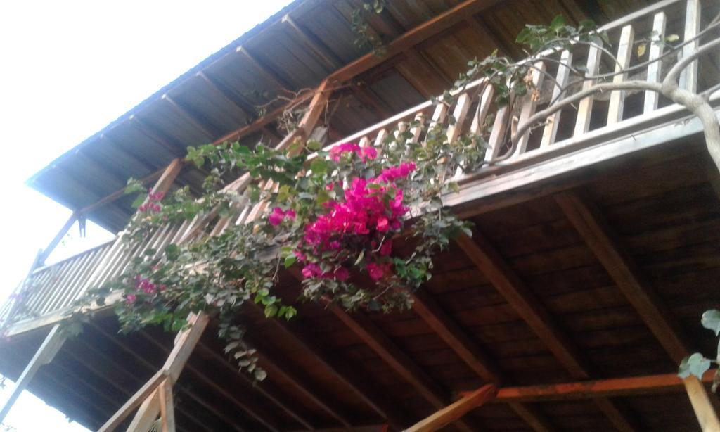 Maremonti Bed & Breakfast Puerto López Εξωτερικό φωτογραφία