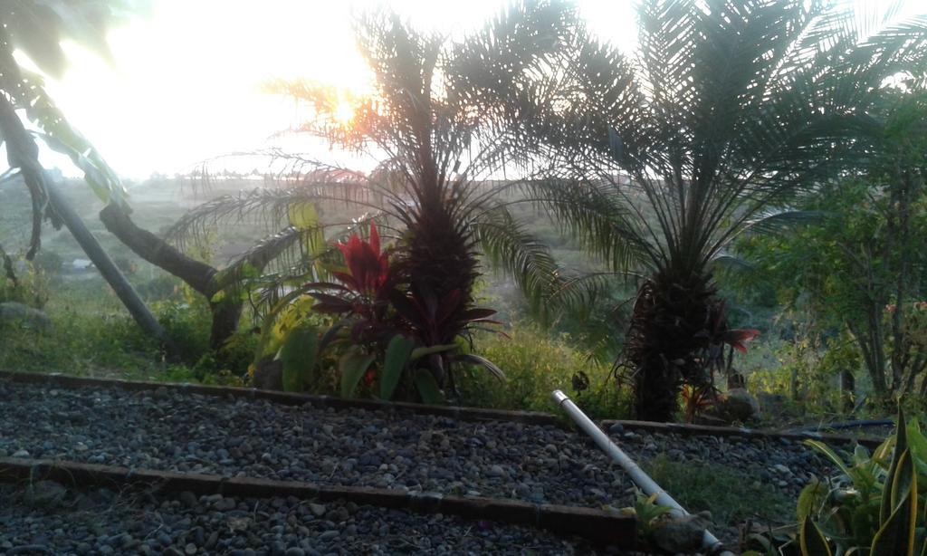 Maremonti Bed & Breakfast Puerto López Εξωτερικό φωτογραφία